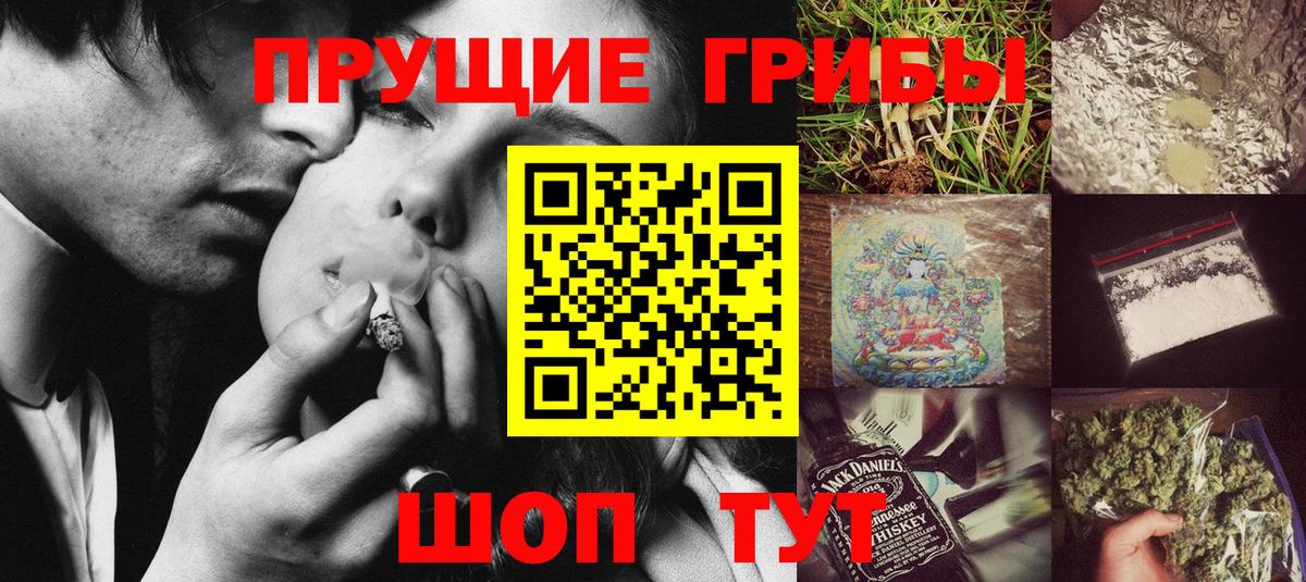 Тында  Псилоцибиновые грибы Psilocybine cubensis  цены наркотик  Вход с VPN  Псилоцибиновые грибы MAGIC MUSHROOMS 