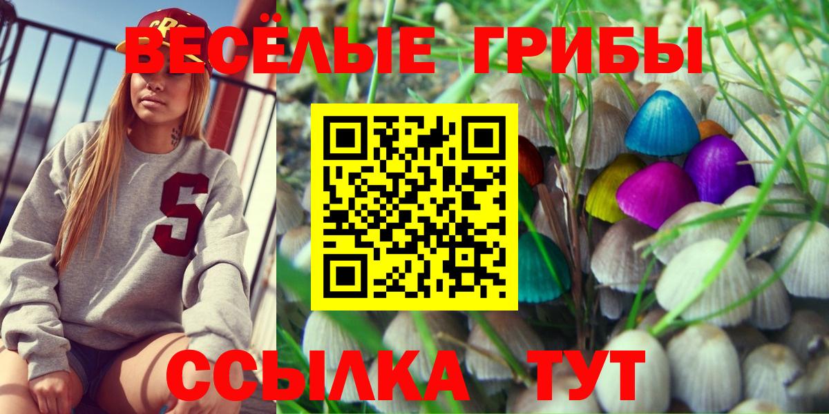 Псилоцибиновые грибы ЛСД Тында